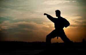 ¡Aprende Artes Marciales en el Confort de tu Casa!