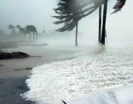 Anticípate a las tormentas y huracanes