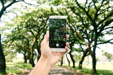 Identifica y Aprende Todo Sobre las Plantas a Tu Alrededor