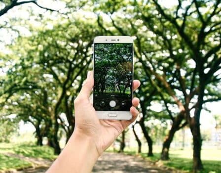 Identifica y Aprende Todo Sobre las Plantas a Tu Alrededor