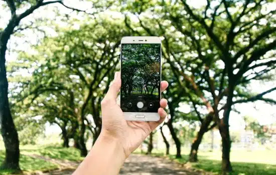 Identifica y Aprende Todo Sobre las Plantas a Tu Alrededor