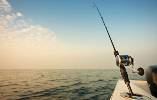 Aplicación para Localizar Peces en Tiempo Real