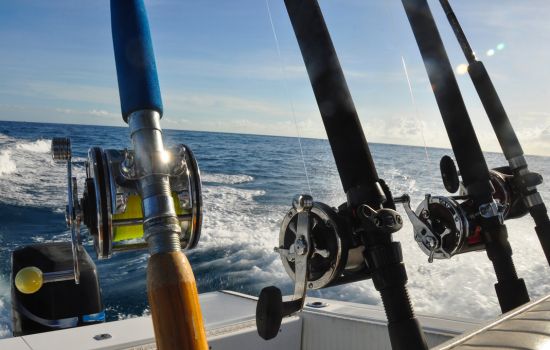 Convierte tu Celular en Walkie-Talkie con Esta App