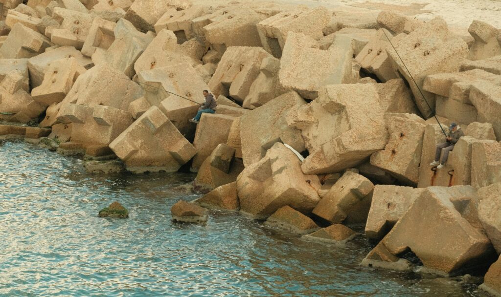 Encuentra Peces en el Mar con Esta App