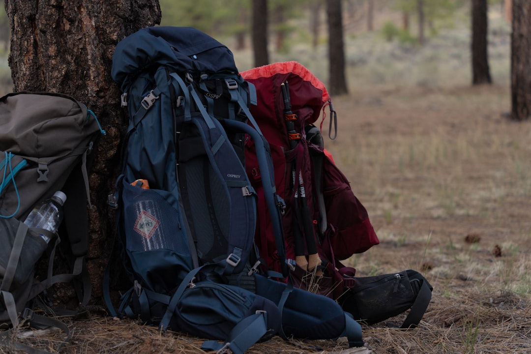 Explora senderos del mundo con esta app para aventureros